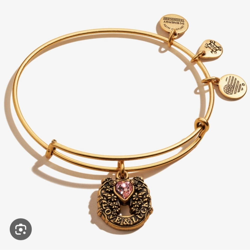 Alex and Ani Fortune's Favor Love & Luck Gold Bangle Bracelet